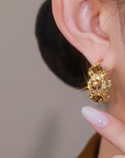 Inlaid Zirconia Sparkling Earrings