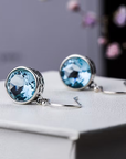 Blue Crystal Earrings