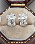 Stud Gold Zirconia Earrings
